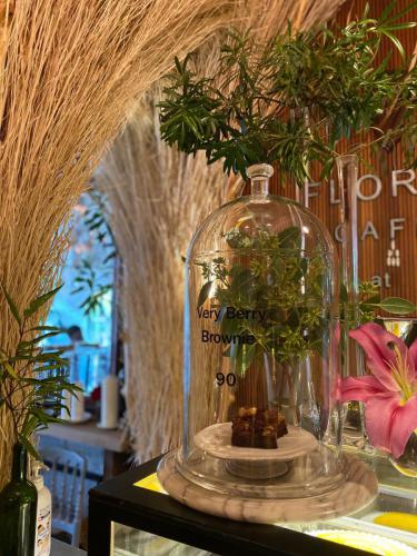 บราวนี่นภสร